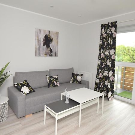 Dreamer Apartment Stary Toruń Dış mekan fotoğraf