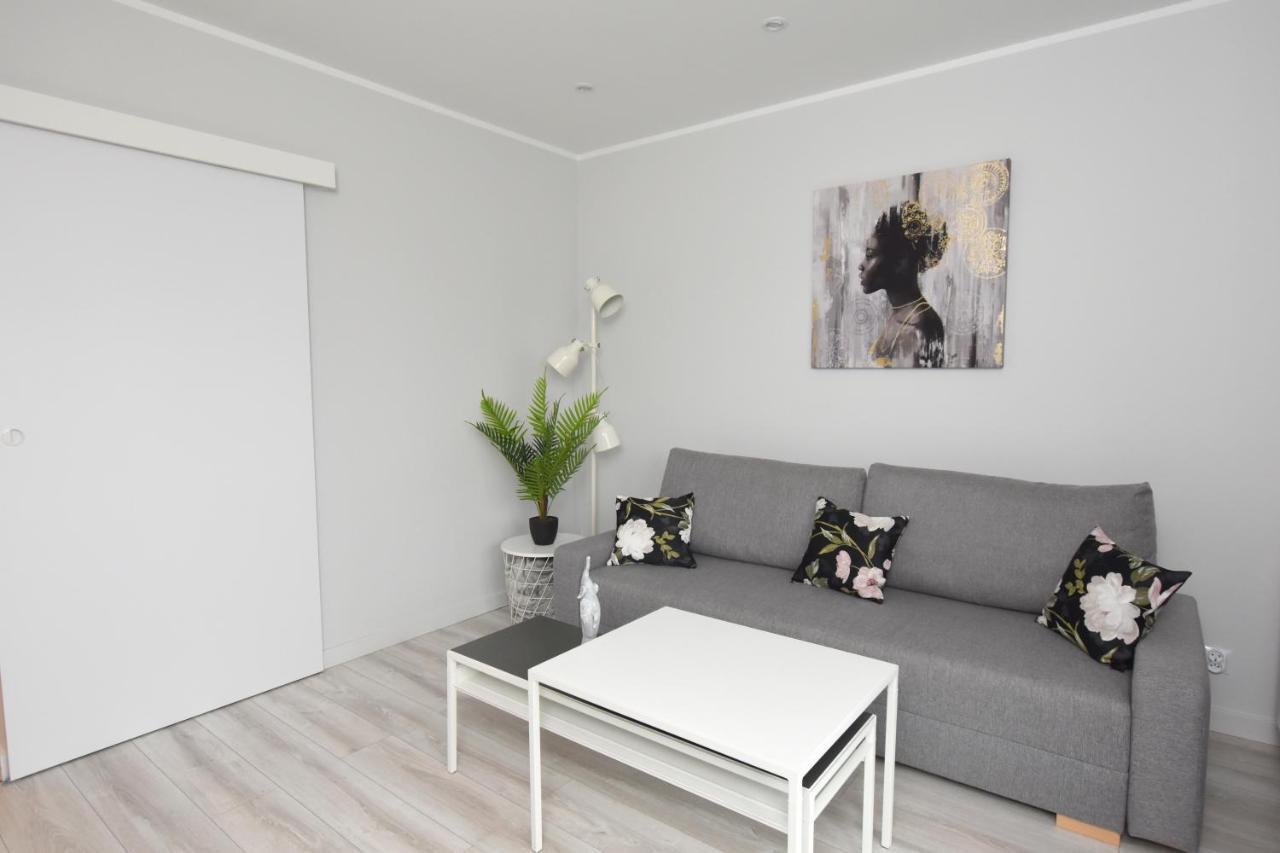 Dreamer Apartment Stary Toruń Dış mekan fotoğraf