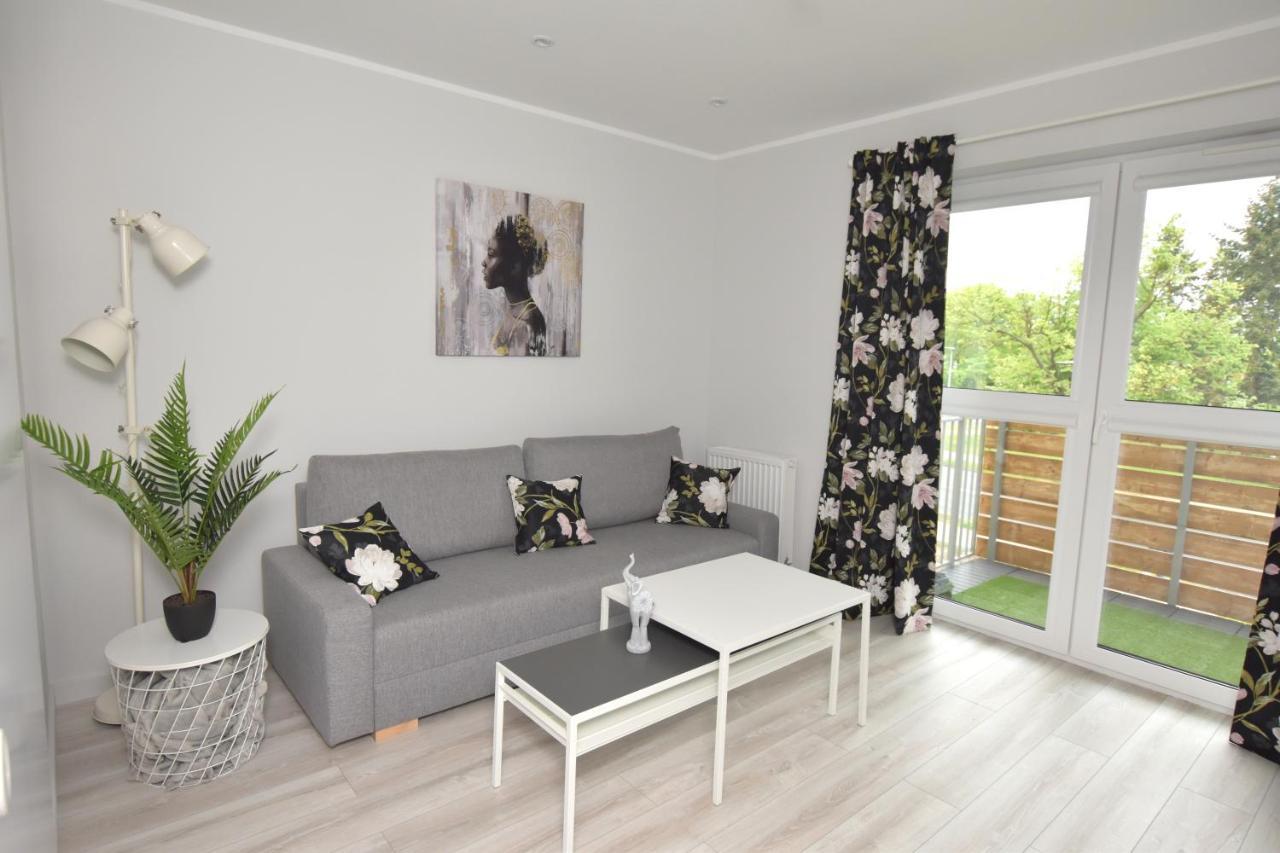 Dreamer Apartment Stary Toruń Dış mekan fotoğraf